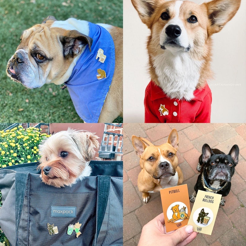 Puede incluir: Cuatro razas de perros diferentes que llevan ropa y sostienen pines de esmalte. Los pines representan diferentes razas de perros con tazas de caf&eacute;. Los pines est&aacute;n etiquetados como "Pitbull", "French Bulldog", "Maxpack" y "Corgi".