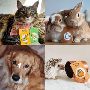 Puede incluir: Un conjunto de pines de esmalte con diferentes animales, incluyendo un gato, un conejo, un erizo y un perro. Los pines est&aacute;n sobre un fondo blanco con una variedad de colores y dise&ntilde;os. Los pines son perfectos para agregar un toque de personalidad a tu mochila, chaqueta o bolso.