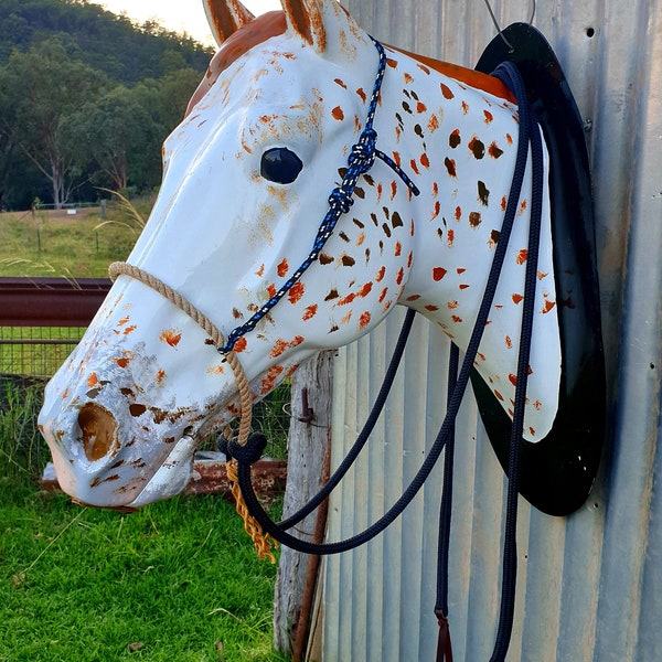 Lariat Nose Loping Hackamore with Slip Ear Headstall and Reins, Bit Less Bridle