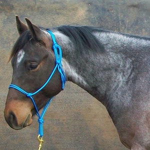 Professionally Made PONY ROPE HALTERS No Hardware, 35 colours to choose from.