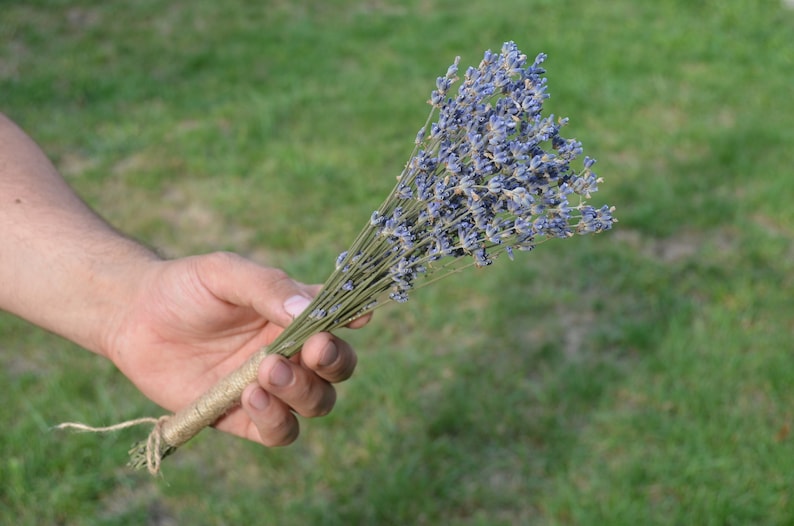 Wedding Favors Lavender Bunch Dried Lavender Bundle,Dried Natural Provence Bunch Bridal Shower Ideas Dried Lavender Bunches Mini Dried