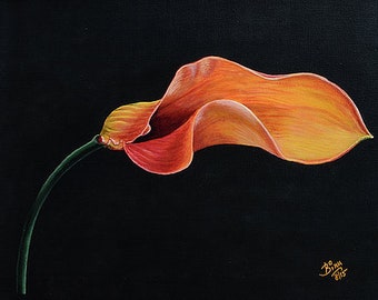 Calla Lilly