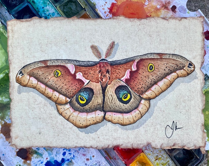 Polyphemus Moth Original Watercolo painting