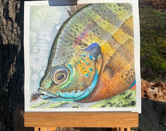 Panfish on the fly, bluegill, watercolor original painting