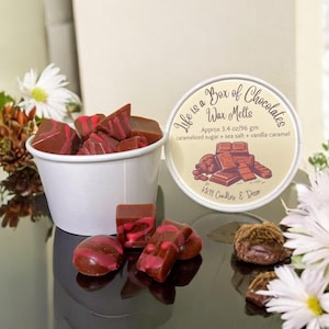 Chocolate Candy Wax Melts | Wax Embed | Fake Food | Wax Melts | Wax Snap Bars | Wax Fake Food | Fake Food Wax Melts | Wax Melt Snap Bar