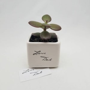 May include: A small white ceramic planter with the words "Love Dad" written on it. A small green succulent plant is growing in the planter. A white card with the same words is in the foreground.
