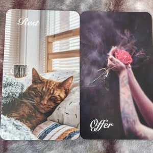 May include: Two tarot cards. One shows a sleeping ginger cat on a bed with the word "Rest". The other card shows a pair of hands holding a red rose with the word "Offer".