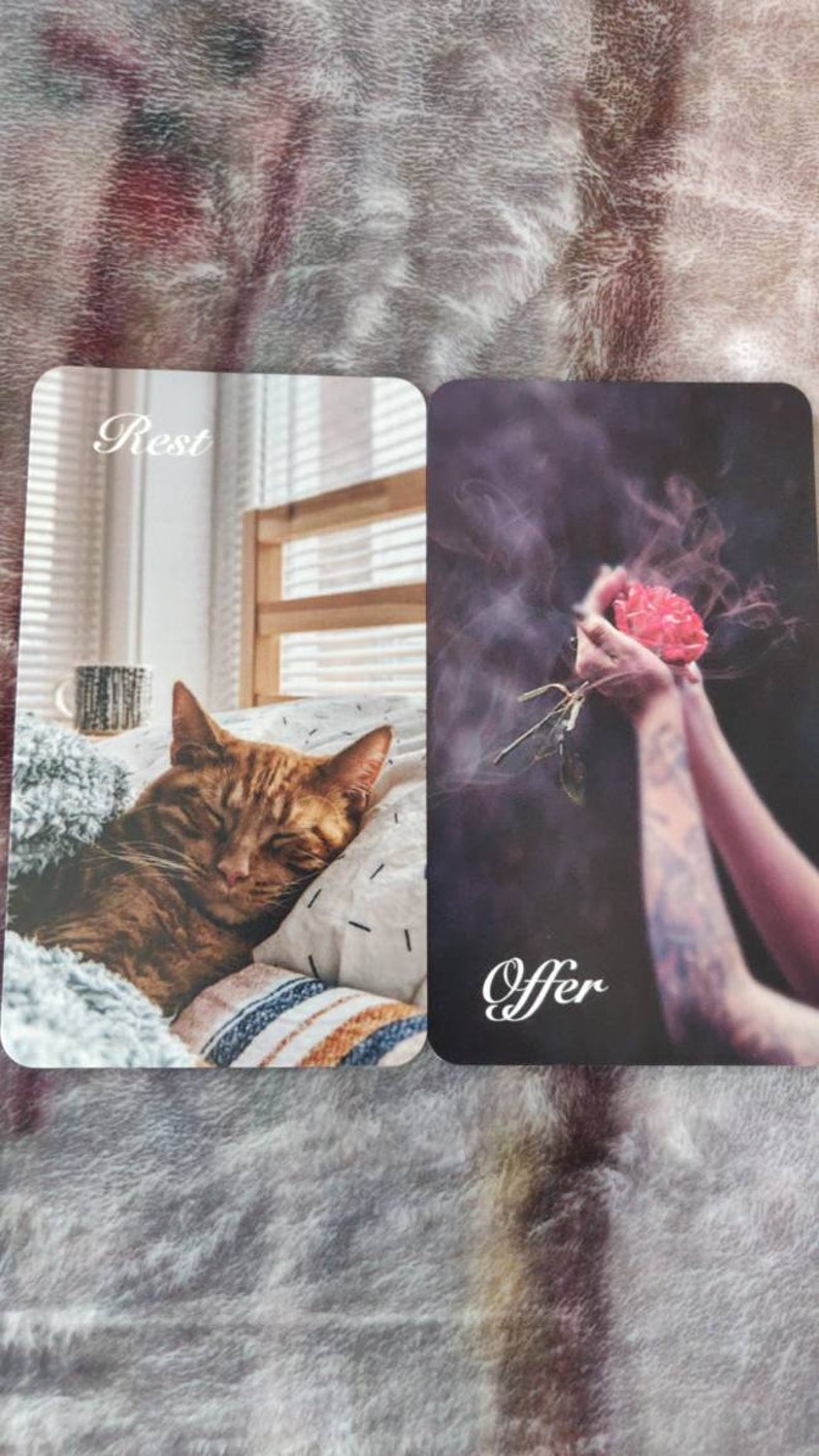 May include: Two tarot cards. One shows a sleeping ginger cat on a bed with the word "Rest". The other card shows a pair of hands holding a red rose with the word "Offer".