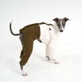 Italian Greyhound Fleece Jumper | Snow Jumpsuit for Dog | Mars Half‑&‑Half Dog Sweater in Ivory/Khaki by hosh product logo