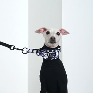 Puede incluir: Un perro blanco peque&ntilde;o con un cuello alto negro y un collar estampado. El collar presenta un dise&ntilde;o geom&eacute;trico en negro, blanco y morado y la palabra "hosh". Una correa negra est&aacute; adjunta.