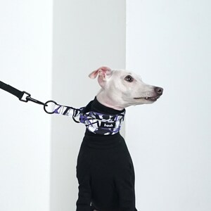 Puede incluir: Un perro blanco con un cuello alto negro y un collar estampado con formas geom&eacute;tricas moradas, blancas y negras. El collar tiene el nombre de la marca "hosh". Una correa negra est&aacute; unida al collar.