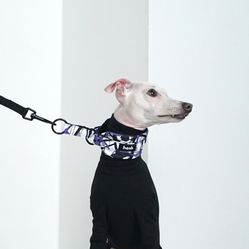 Puede incluir: Un perro blanco con un cuello alto negro y un collar estampado con formas geom&eacute;tricas moradas, blancas y negras. El collar tiene el nombre de la marca "hosh". Una correa negra est&aacute; unida al collar.