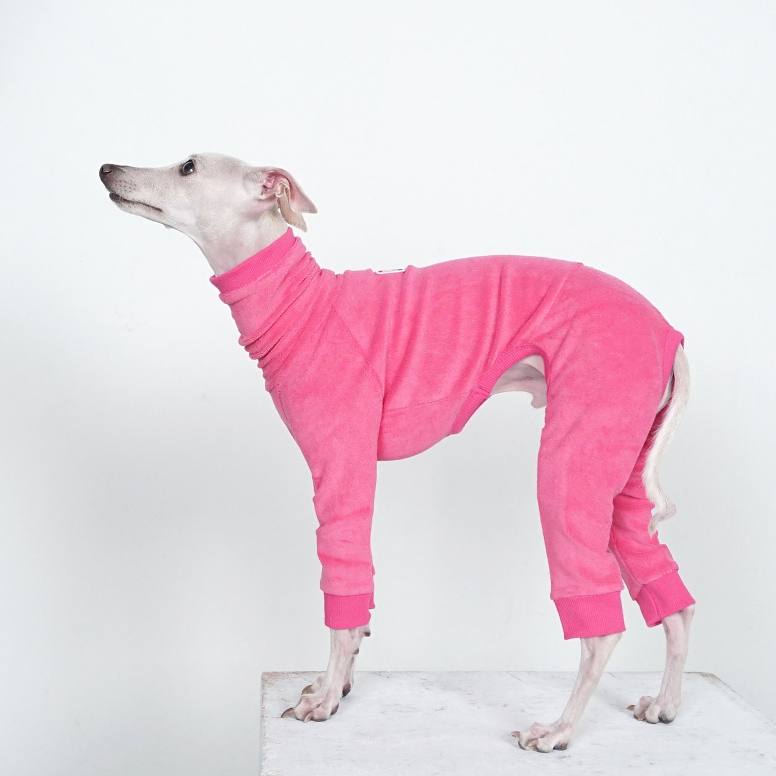 Hosh Palette Towel Romper Pink for Italian Greyhound - Etsy