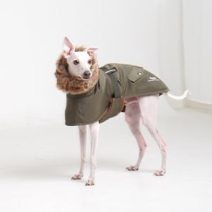 hosh N-3B Coat Khaki/Wine for Italian greyhound