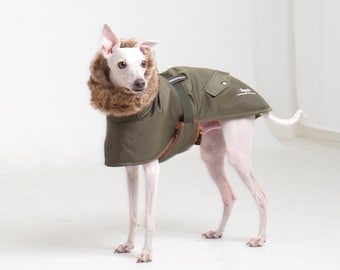 hosh N-3B Coat Khaki/Wine for Italian greyhound