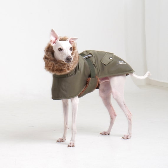 Italian Greyhound N‑3B Style Coat | Winter Jacket for Iggy | Padded Nylon Parka in Khaki , Wine by hosh