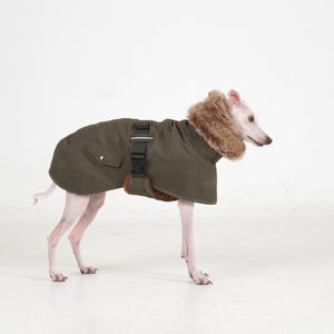 Puede incluir: Un abrigo verde oliva para perros con cuello de piel sint&eacute;tica y arn&eacute;s. El abrigo tiene un bolsillo lateral y cierre de hebilla. El perro es de color claro y est&aacute; sobre una superficie blanca.