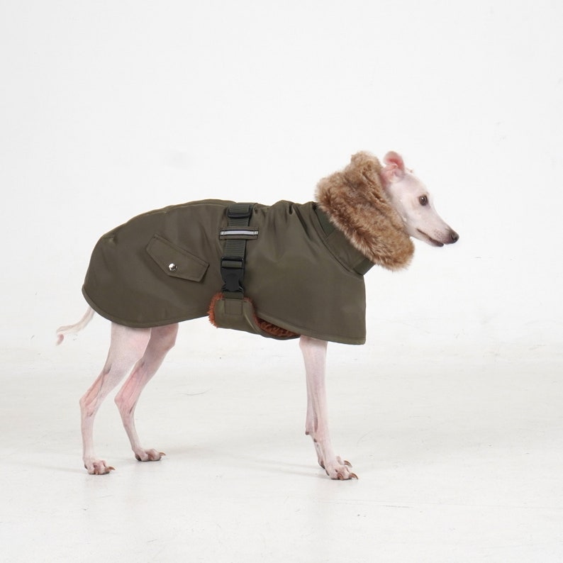 Puede incluir: Un abrigo verde oliva para perros con cuello de piel sint&eacute;tica y arn&eacute;s. El abrigo tiene un bolsillo lateral y cierre de hebilla. El perro es de color claro y est&aacute; sobre una superficie blanca.