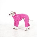 Italian Greyhound Racer Fleece Romper | Winter Romper for Dog | 3‑Color Dog Jumpsuit in Pink, Grey, Green by hosh product logo