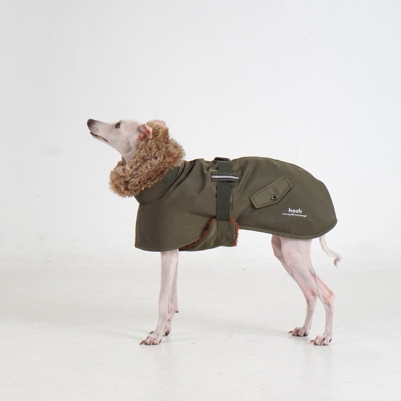 Puede incluir: Un abrigo verde oliva para perros con cuello de piel sint&eacute;tica. El abrigo tiene un bolsillo y una correa para el arn&eacute;s. La marca "hosh" est&aacute; impresa en el abrigo. El perro est&aacute; de pie sobre una superficie blanca.