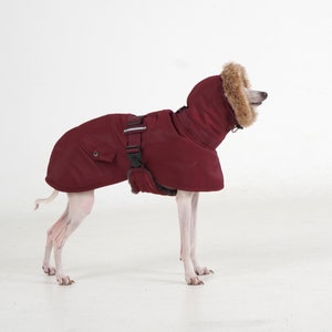 Puede incluir: Un abrigo para perros de color burdeos con capucha ribeteada con piel sint&eacute;tica. El abrigo tiene un cierre de hebilla y un peque&ntilde;o bolsillo. El perro est&aacute; sobre una superficie blanca.