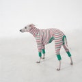 hosh Macaron Stripe Romper Pink for Italian greyhound product logo