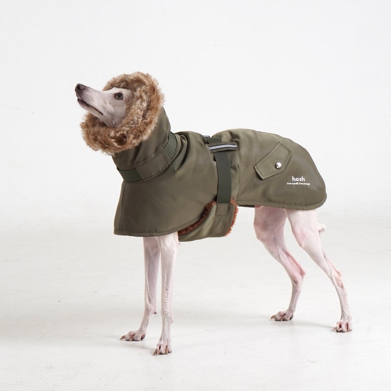 Puede incluir: Un abrigo verde oliva para perros con capucha forrada de piel sint&eacute;tica y un interior marr&oacute;n. El abrigo tiene un bolsillo y una tira reflectante. El perro es de color claro y mira hacia arriba. El abrigo tiene la palabra "hosh".