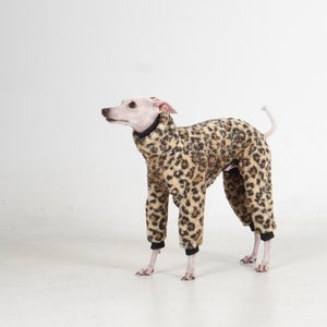 hosh Leo Fleece Romper for Italian greyhound