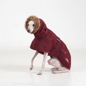 Puede incluir: Un abrigo para perros de color granate con capucha forrada de piel sint&eacute;tica. El abrigo tiene un bolsillo, una tira reflectante y el nombre de la marca "heesh" impreso en el lateral. El perro est&aacute; sentado sobre una superficie blanca.