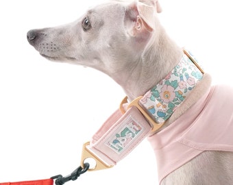 Puede incluir: Un perro de color claro con un collar rosa y una correa a juego. El collar presenta un estampado floral con flores rosas, azules y verdes. La correa es roja con un cierre negro. El perro lleva una camiseta rosa.