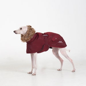 Puede incluir: Un abrigo para perros de color burdeos con cuello de piel sint&eacute;tica. El abrigo tiene un peque&ntilde;o bolsillo y la palabra "hosh" impresa. El perro est&aacute; sobre una superficie blanca.