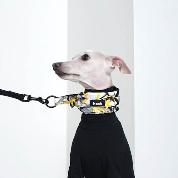 Italian Greyhound Half‑Choke Collar | Paint Dog Collar | Padded Air‑Mesh Sighthound Collar in Yellow or Purple by hosh