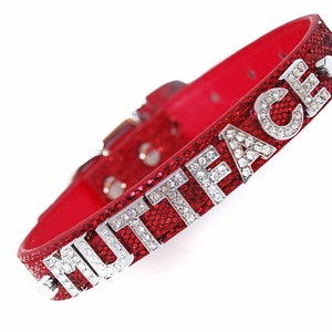 Pet Palace® &quot;Disco Dawg&quot; Leather Luxury Bling Dog Collar with FREE name in glitter letters
