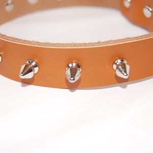 Peut inclure: Un collier de chien en cuir marron avec des pointes en métal argenté.