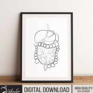 Anatomical Digestive System Single Line Drawing, Medical Art, Health Print,Medical Wall Art,Doctor Minimal Decor,Abstract Medical,Health Art