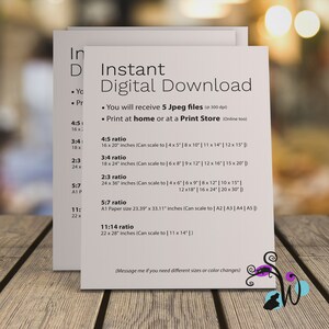 May include: A white card with black text outlining the different sizes and ratios of digital files available for download. The text includes the phrase "Instant Digital Download" and "Print at home or at a Print Store".
