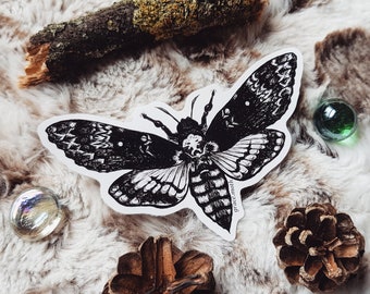 Death Head Hawk Moth - Vinyl Sticker 10cm by 6cm