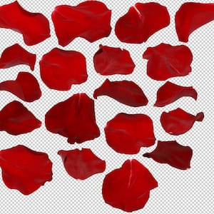 Rosenblad Photoshop-överlägg, röda rosenblad, alla hjärtans dag, bröllopsöverlägg, fotografiöverlägg, clipart clipart PNG-grafik #2 bild 3