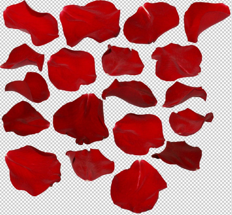 Rosenblad Photoshop-överlägg, röda rosenblad, alla hjärtans dag, bröllopsöverlägg, fotografiöverlägg, clipart clipart PNG-grafik #2 bild 3