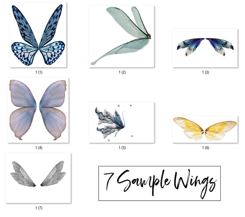 An old pencil drawing of Don Quixote and Sancho Panza sitting on their horses, by Wilhelm Marstrand.