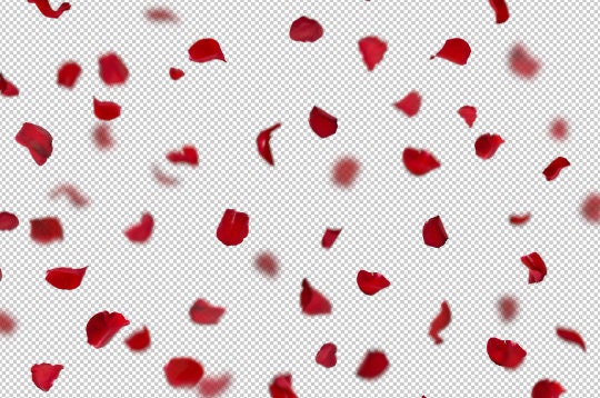 Rose Petal Photoshop Overlays, Red Rose Petals, Valentine's Day ...