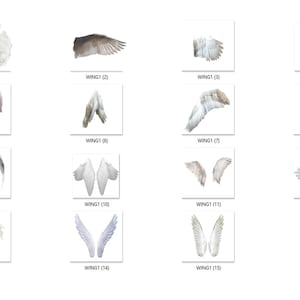 Angel Wings Overlay for Photoshop, Instant Download, White Fairy Wings, Graphic Design, Digital Angel Wings , Clipart Clip Art PNG Graphics