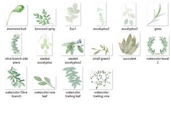 Akvarell botanisk grönska, omedelbar nedladdning, akvarell blommor, frodig grönska Clipart, löv målade, Clipart Clip Art PNG-grafik