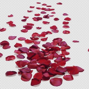 Rosenblad Photoshop-överlägg, röda rosenblad, alla hjärtans dag, bröllopsöverlägg, fotografiöverlägg, clipart clipart PNG-grafik #2 bild 2