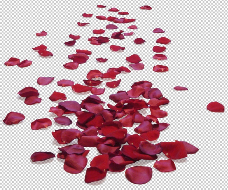 Rosenblad Photoshop-överlägg, röda rosenblad, alla hjärtans dag, bröllopsöverlägg, fotografiöverlägg, clipart clipart PNG-grafik #2 bild 2
