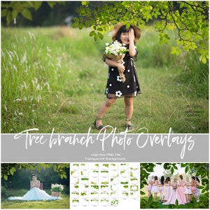 40 PNG Tree Branch Flower Photo Overlays, Photoshop Overlay Flowers, Summer Spring Painted Overlays, Digital Backdrop, Instant Download