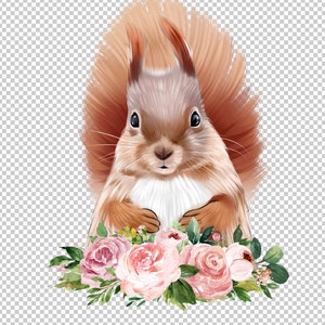 Original Watercolor Squirrel PSD High Res File,Baby nursery decor,Baby Safari animals Graphic Design,Exclusive Sale,Make your Unique Designs