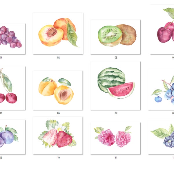 Fruit watercolor clipart, Peaches illustration, Watercolor fruit, Fruit Variety Clipart, Kitchen decor, Lemons, grape and more Digital PNG