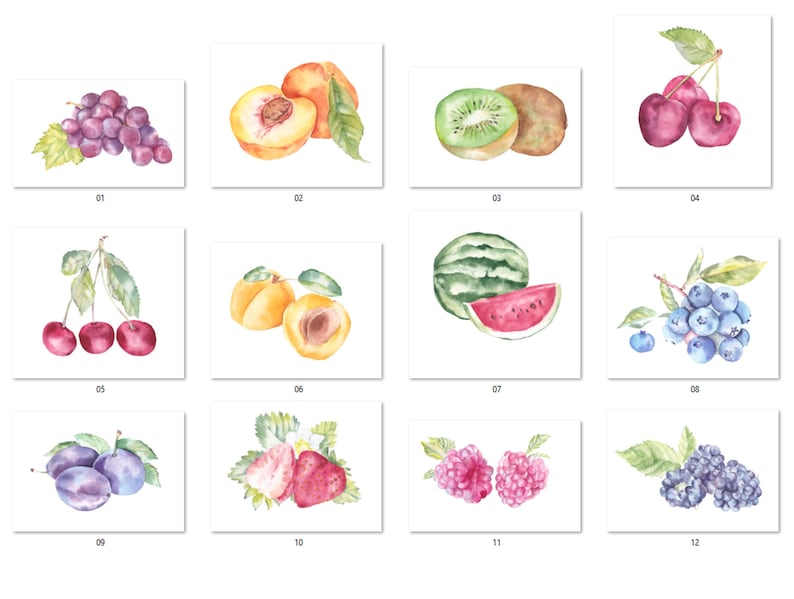 Kitchen decor grape and more Digital PNG Fruit Variety Clipart Lemons Watercolor fruit Fruit watercolor clipart Peaches illustration