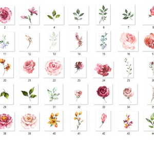 May include: A set of 46 watercolor illustrations featuring various floral designs, including roses, leaves, and other botanical elements. The illustrations are in shades of pink, red, orange, and green.